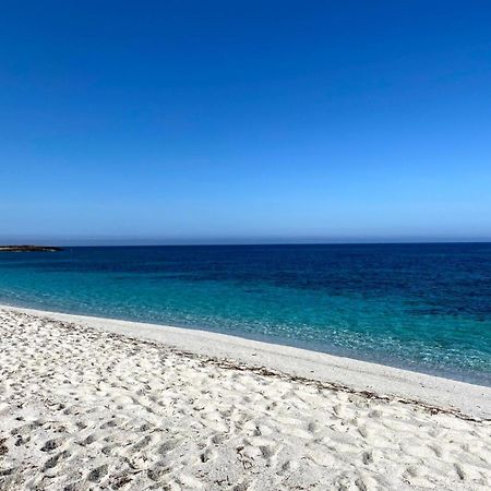 Casa Vacanze Da Roberta A Pochi Km Da Oristano Simaxis Εξωτερικό φωτογραφία